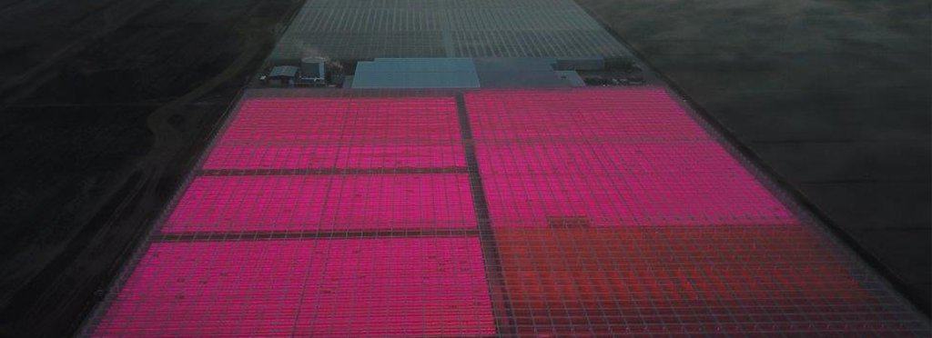FRI-EL Green House al webinar Marca Fresh